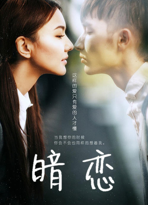 图卢兹第一大学证书